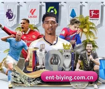 ent-biying.com.cn APP