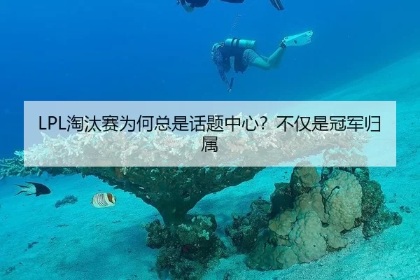 LPL淘汰赛为何总是话题中心？不仅是冠军归属
